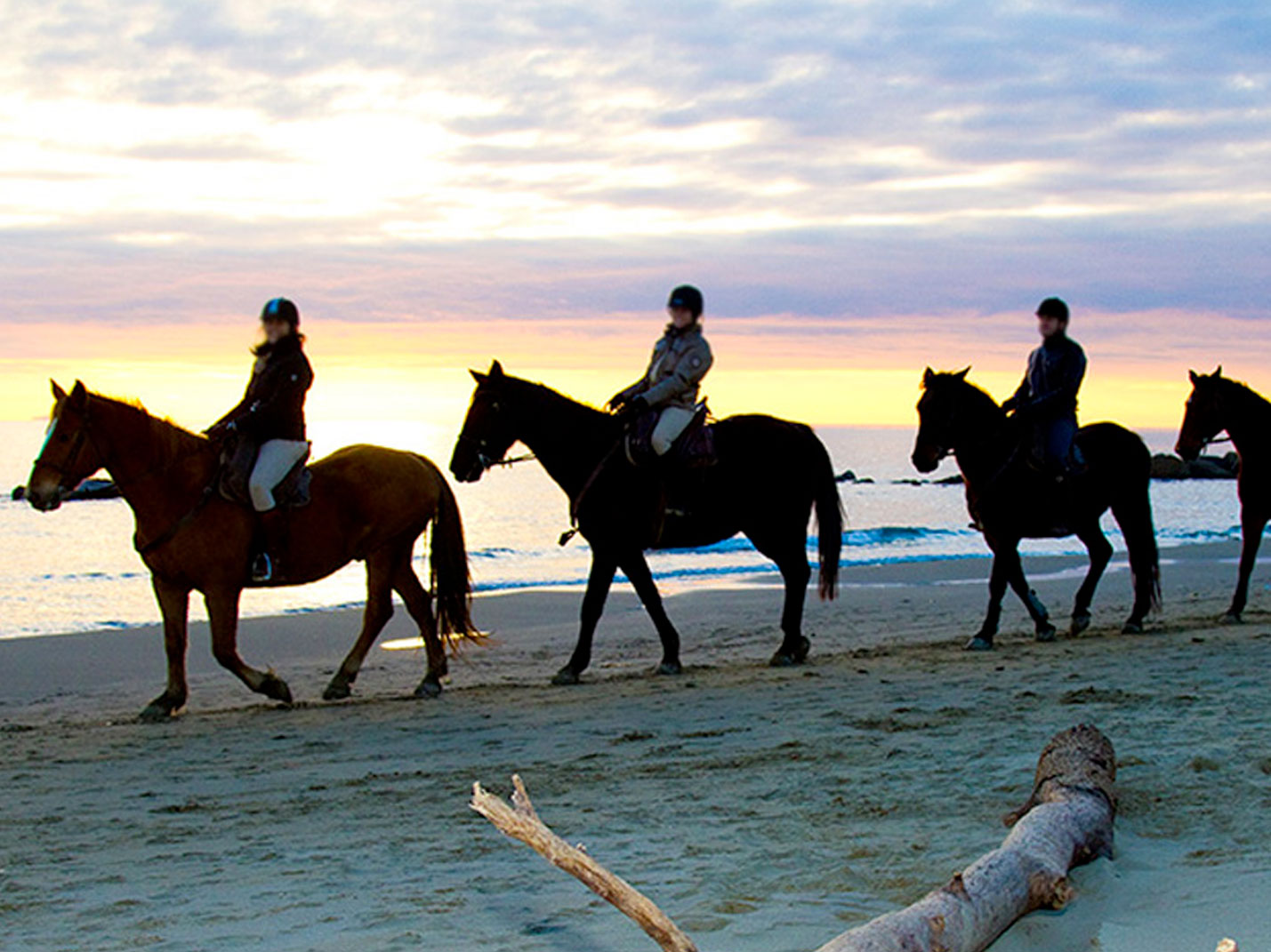 Agriturismi-in-Maremma-passeggiate-a-cavallo