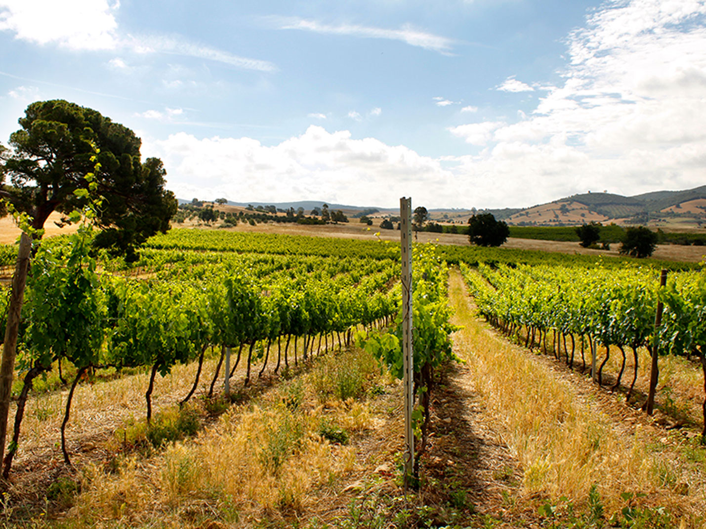 Agriturismo Gaggiolo nel cuore della Maremma Toscana