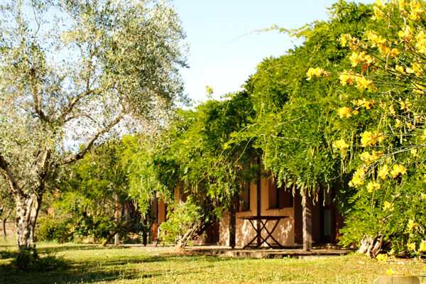 Agriturismo il Gaggio esterno gallery7