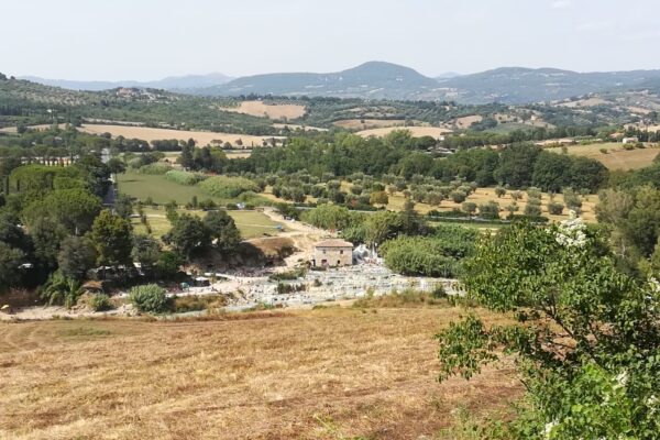 Agriturismo il Gaggiolo in Maremma Toscana Rispescia Dintorni (1)
