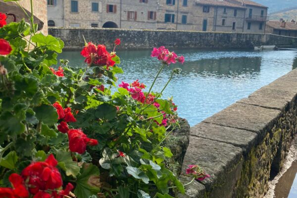 Agriturismo il Gaggiolo in Maremma Toscana Rispescia Dintorni2