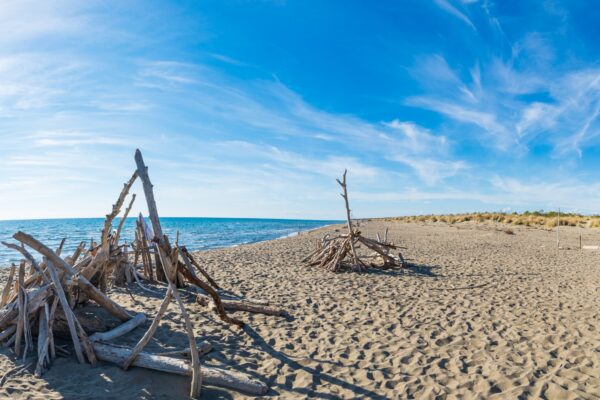 Mare nei dintorni dell'Agriurismo il Gaggiolo